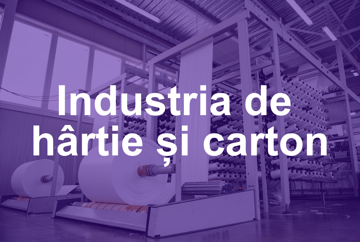 Industria de hârtie și carton