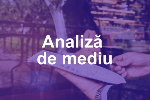 analiza de mediu